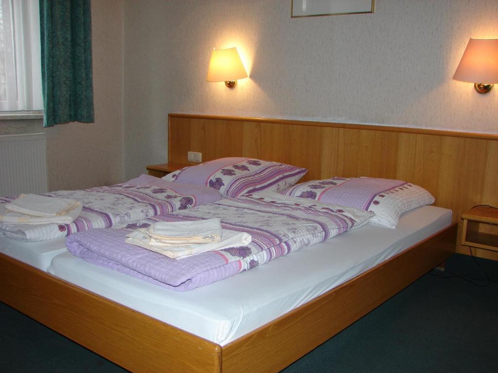 Hotel-Restaurant-Adler Reichenbach im Vogtland Camera foto